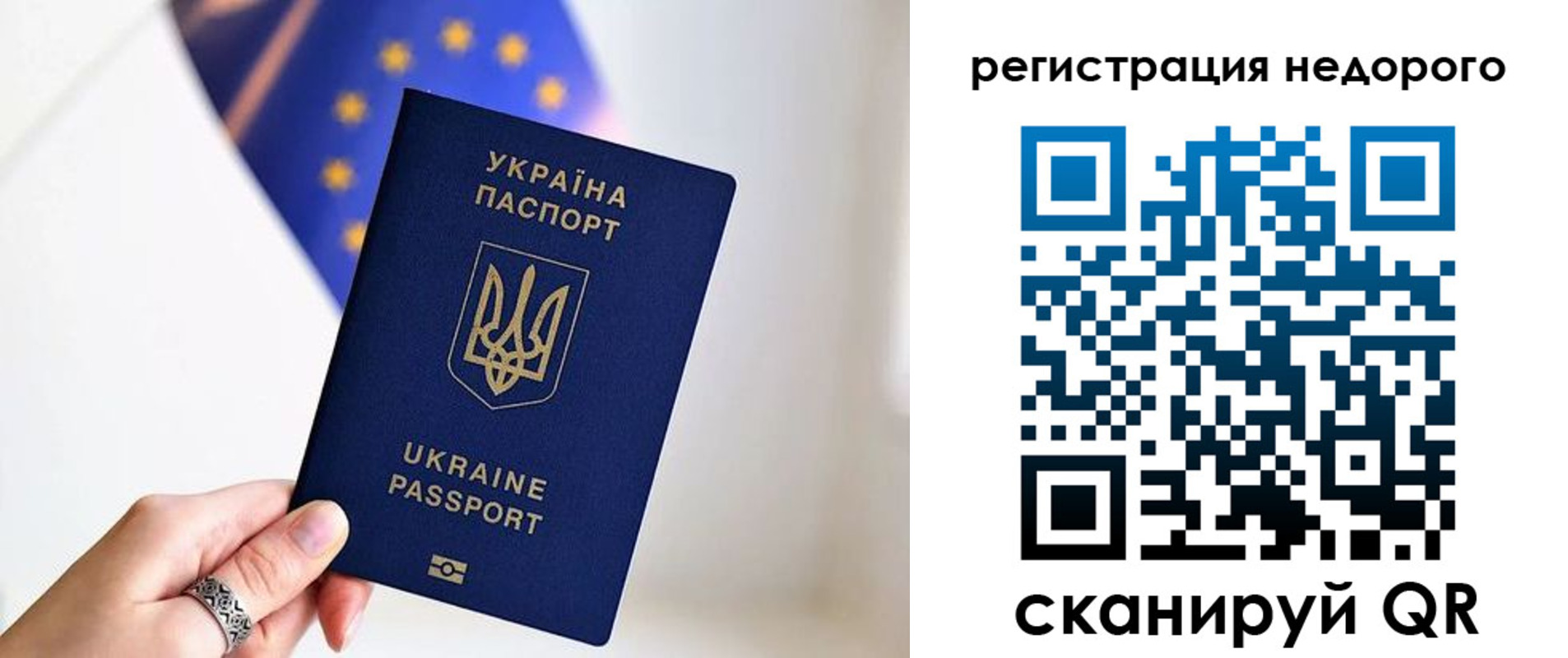 прописка 2025 в Кировске